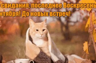 Гифки с последним Воскресеньем Сентября (10 gif картинок)