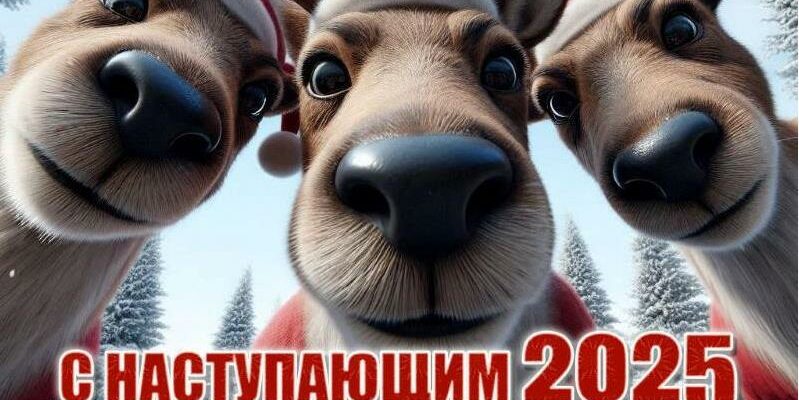 Прикольные картинки с наступающим Новым Годом 2025 (40 фото)
