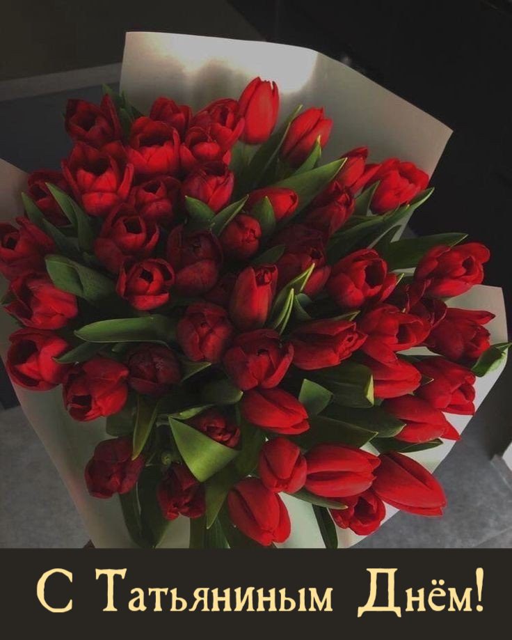 Красивые картинки на Татьянин день с букетами красных тюльпанов для лучшей в мире женщины. Красивые картинки на Татьянин день с букетами красных тюльпанов для лучшей в мире женщины.