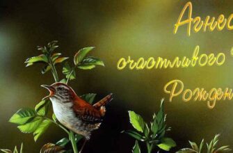 Открытки с днём рождения Агнесса (Картинки, аудио поздравления, гифки)