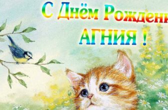 Открытки с днём рождения Агния (Картинки, аудио поздравления, гифки)