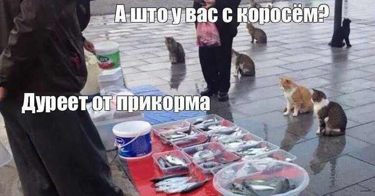Мемы "Дуреет с этой прикормки" (40 картинок)