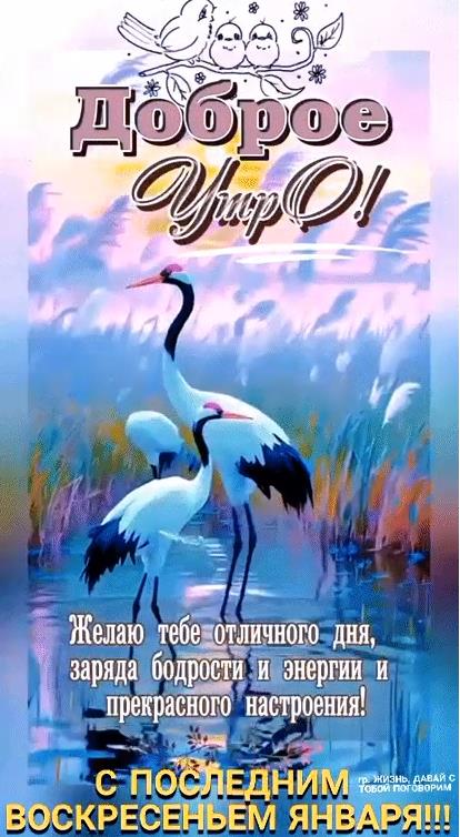 Красивая картинка доброе утро и с последним Воскресеньем Января со стихами.