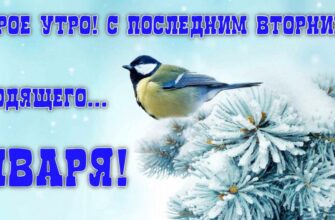 Картинки с последним вторником Января (гифки, открытки, видео)