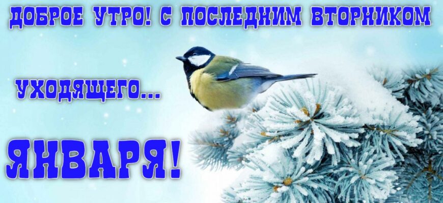 Картинки с последним вторником Января (гифки, открытки, видео)