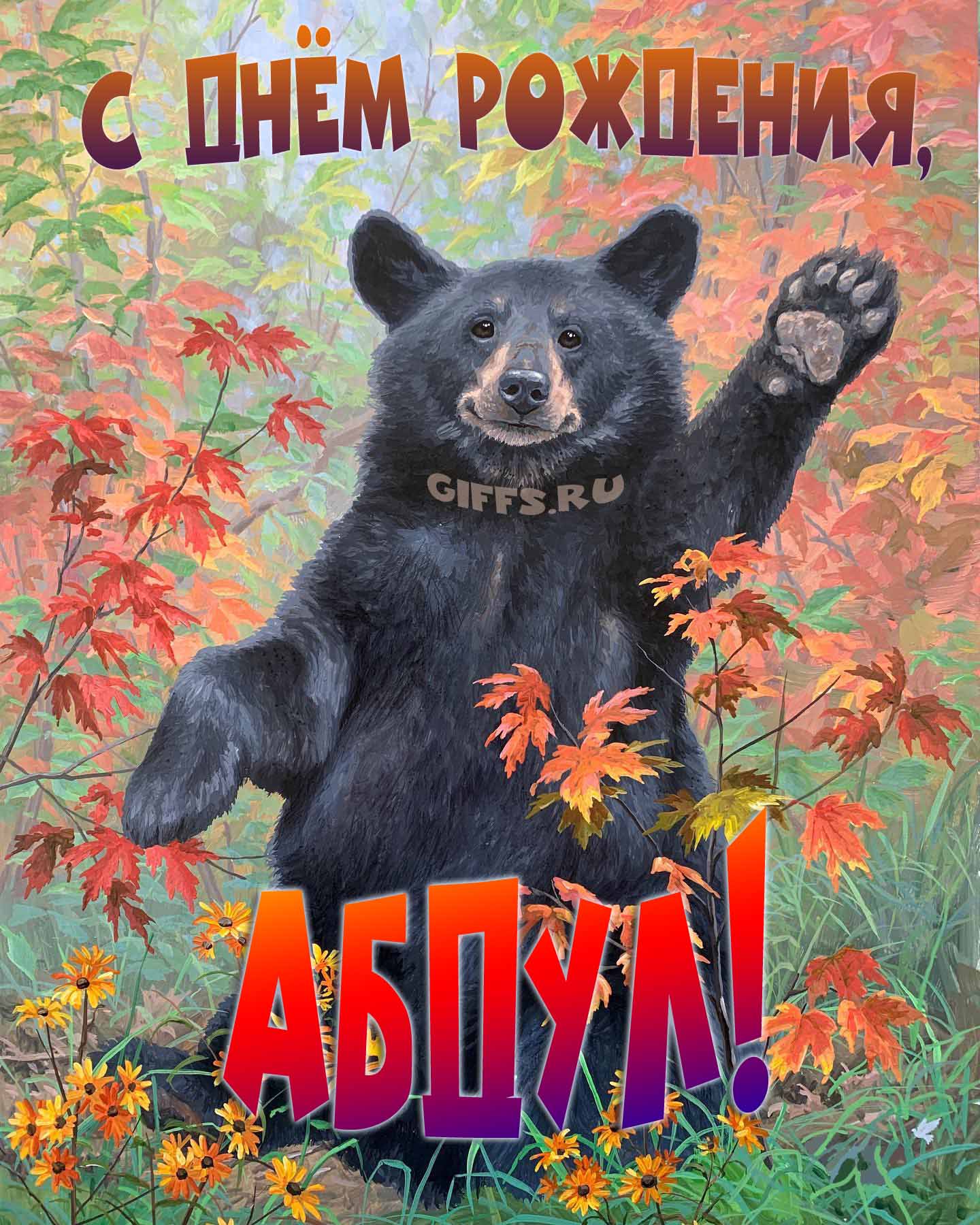 Смешная и прикольная осенняя картинка с машущим медведем "С днём рождения, Абдул!". Смешная и прикольная осенняя картинка с машущим медведем "С днём рождения, Абдул!".