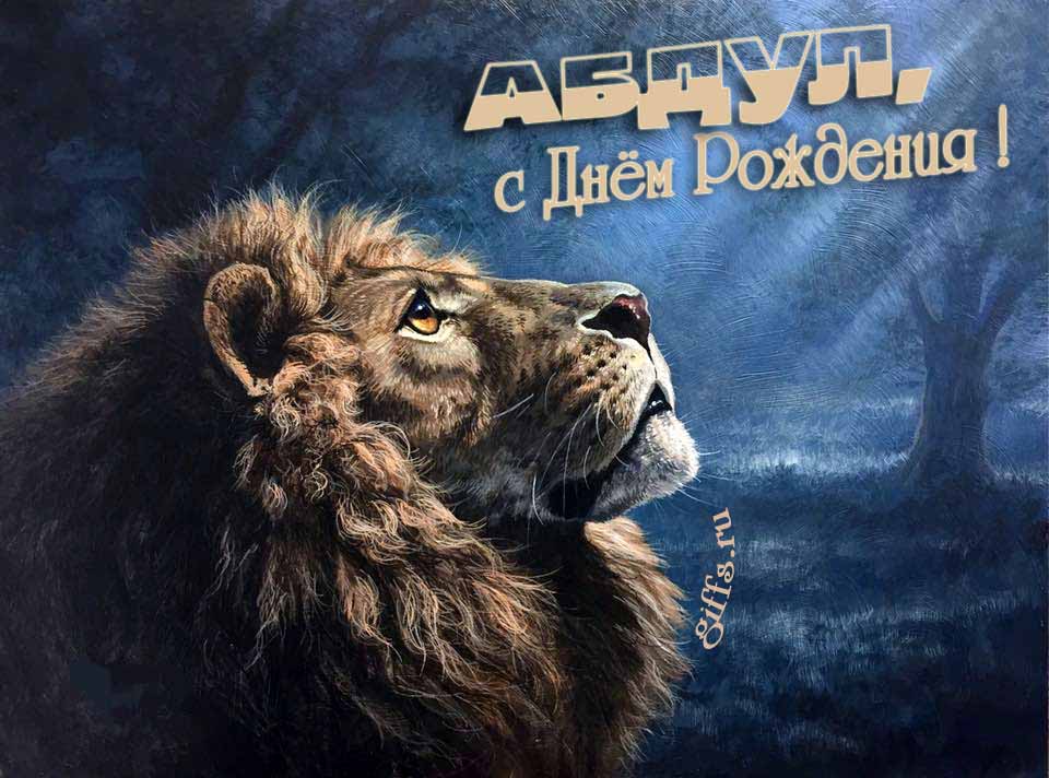 Крутая открытка со львом смотрящим на лунный свет и текстом "Абдул, с днём рождения!". Крутая открытка со львом смотрящим на лунный свет и текстом "Абдул, с днём рождения!".
