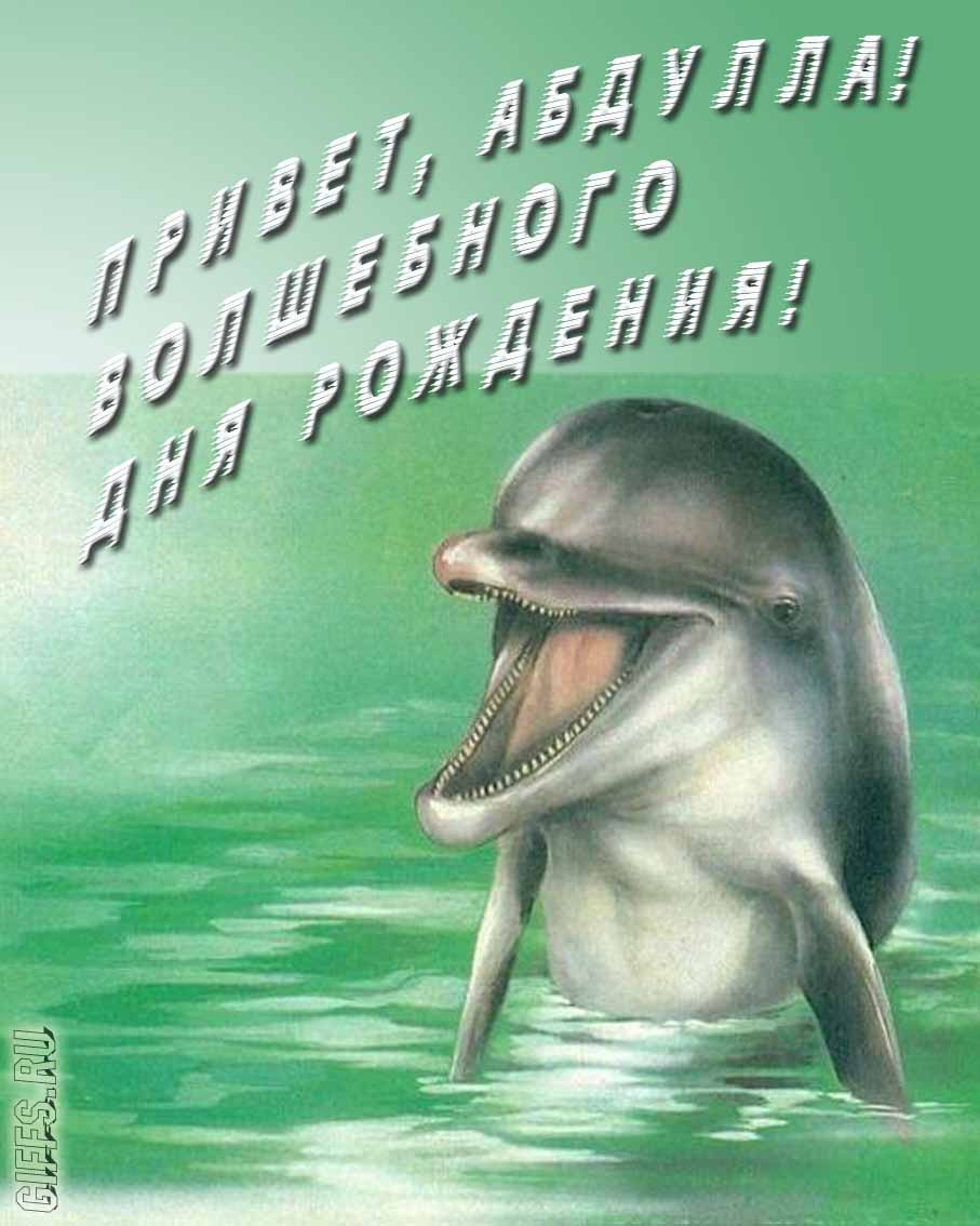 Прикольная картинка с дельфином "Привет, Абдулла! Волшебного дня рождения!".