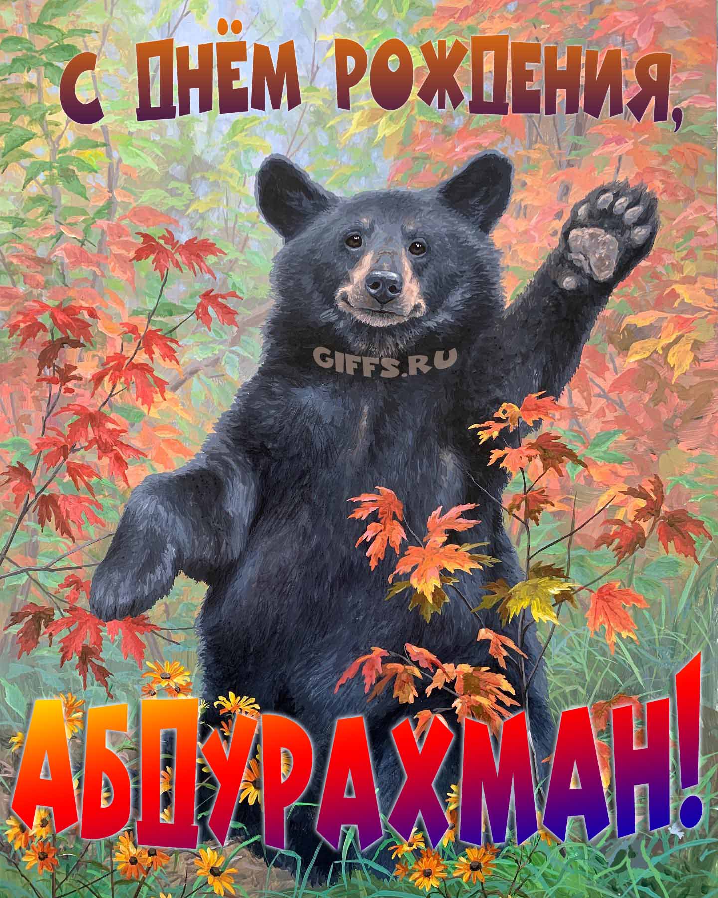 Смешная и прикольная осенняя картинка с машущим медведем "С днём рождения, Абдурахман!".