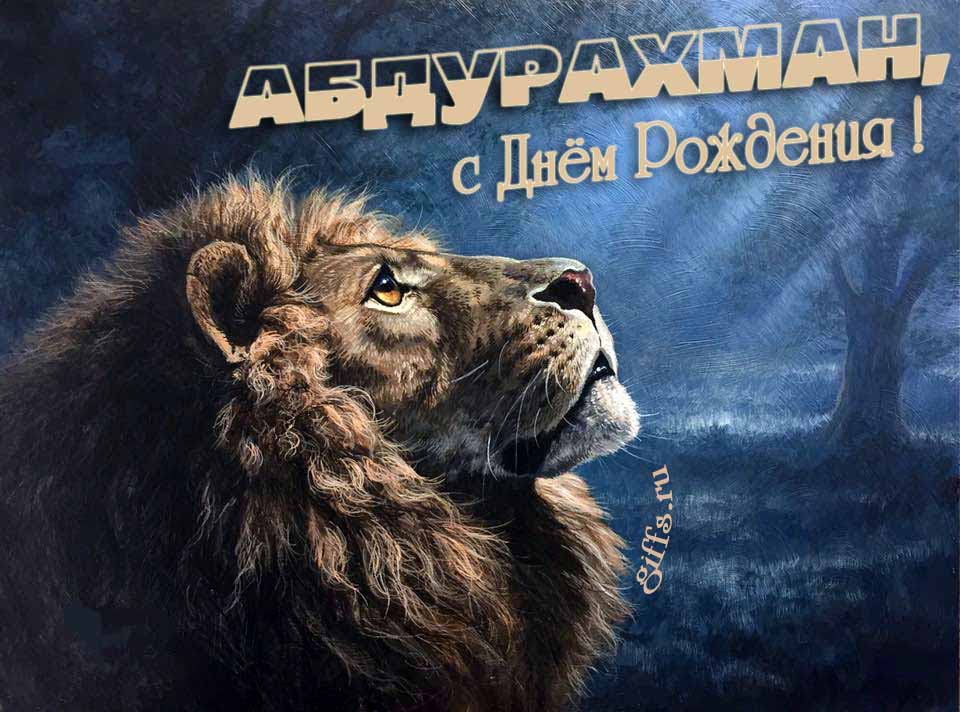Крутая открытка со львом смотрящим на лунный свет и текстом "Абдурахманчик, с днём рождения!".