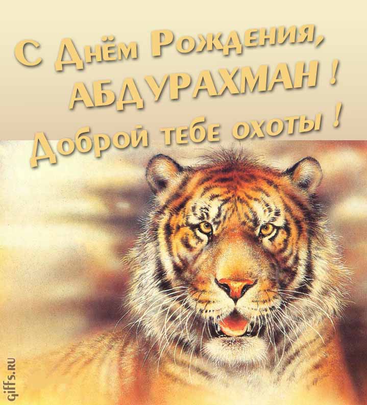 Прикольная картинка с суровым тигром "С днём рождения, Абдурахман! Доброй тебе охоты!".