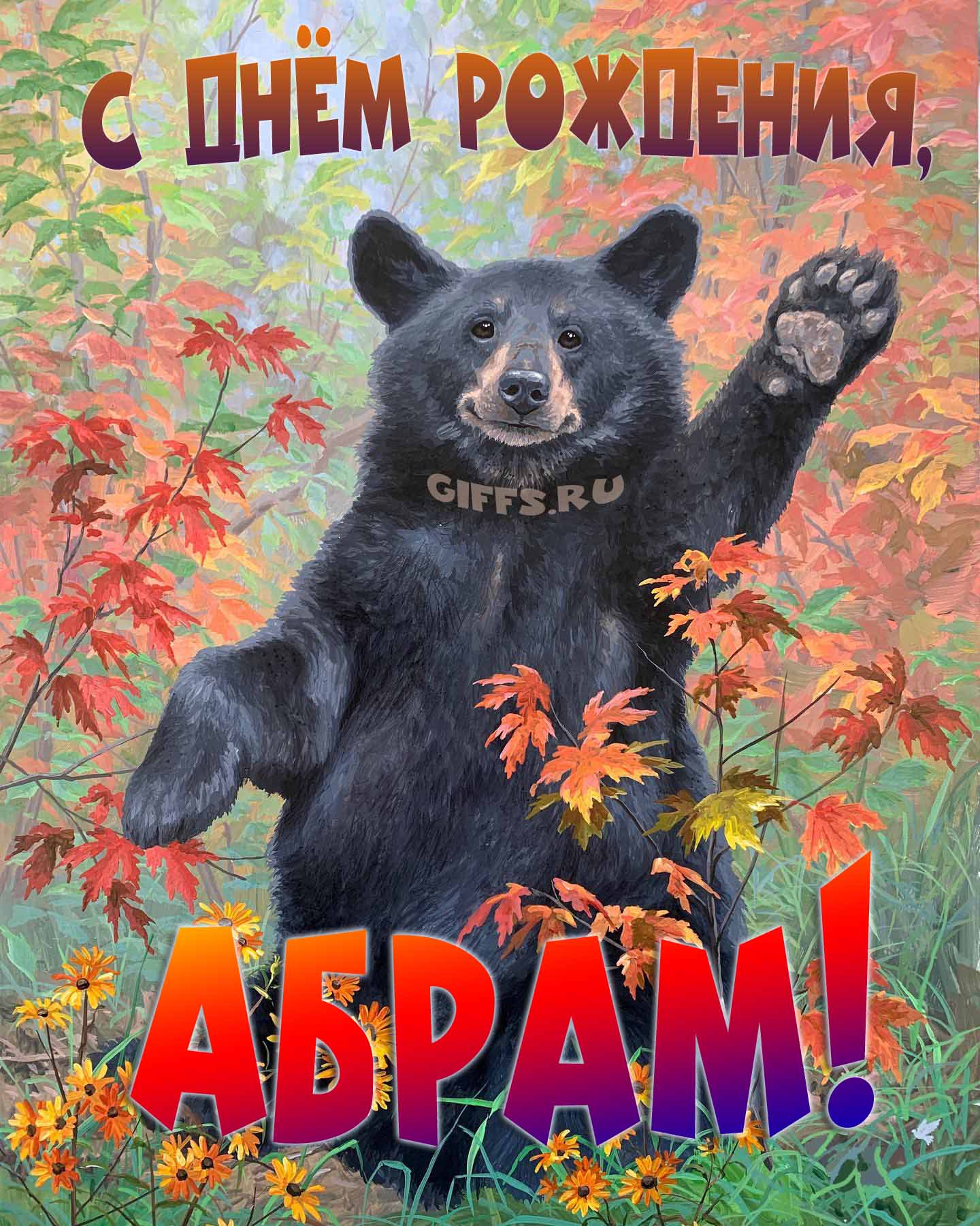 Смешная и прикольная осенняя картинка с машущим медведем "С днём рождения, Абрам!".