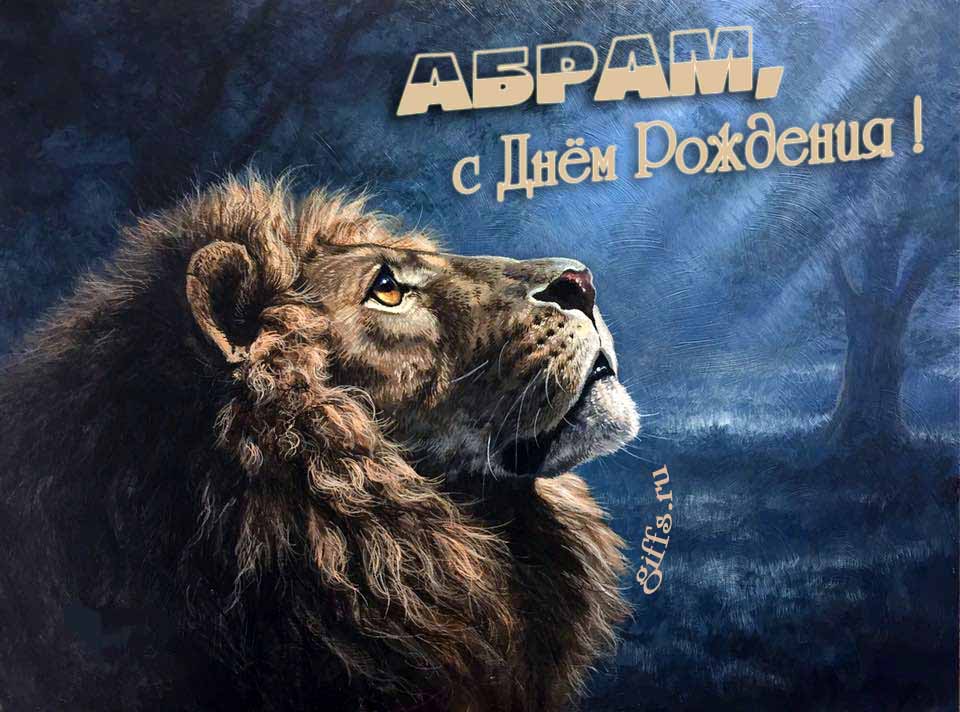 Крутая открытка со львом смотрящим на лунный свет и текстом "Абрам, с днём рождения!".