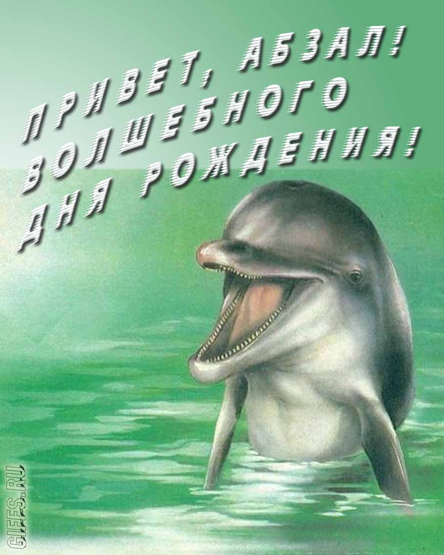 Прикольная картинка с дельфином "Привет, Абзал! Волшебного дня рождения!". Прикольная картинка с дельфином "Привет, Абзал! Волшебного дня рождения!".