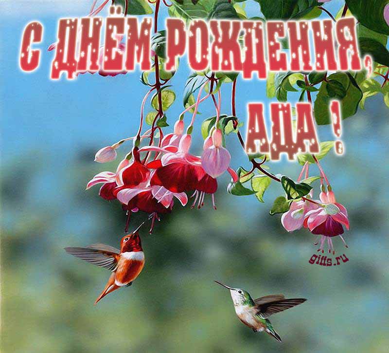 Яркая летняя открытка с птичками в цветах ко дню рождения Ады.