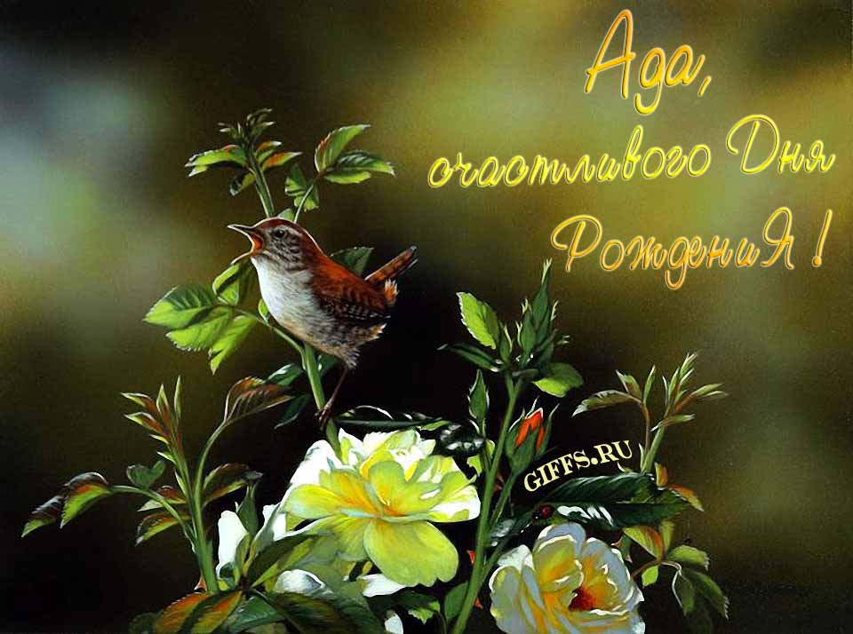 Прикольная картинка с кричащей птичкой : "Ада, счастливого дня рождения!".