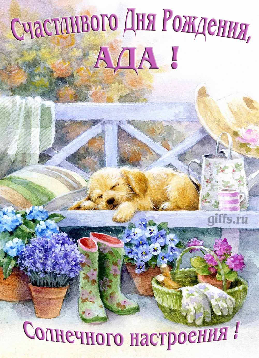 Прикольная картинка с собачкой и пожеланием Аде счастливого дня рождения и солнечного настроения.