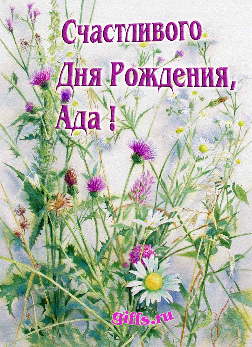 Картинка с луговыми цветами и пожеланием счастливого дня рождения девушке Аде.