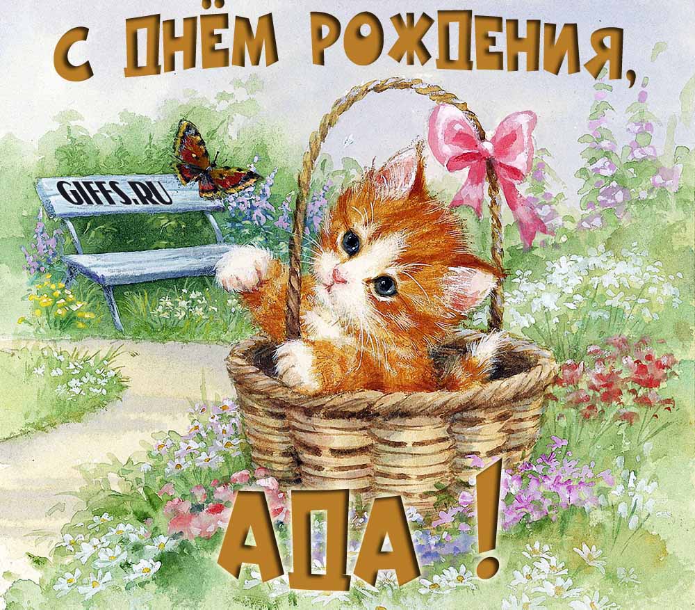 Милая летняя открытка с рыжим котёнком и поздравлением в день рождения для Ады.