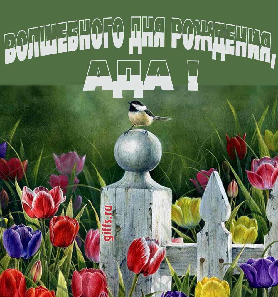 Нежная картинка с разноцветными тюльпанами и надписью "Волшебного дня рождения, Ада!".