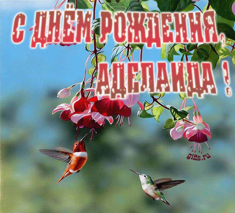 Яркая летняя открытка с птичками в цветах ко дню рождения Аделаиды. Яркая летняя открытка с птичками в цветах ко дню рождения Аделаиды.