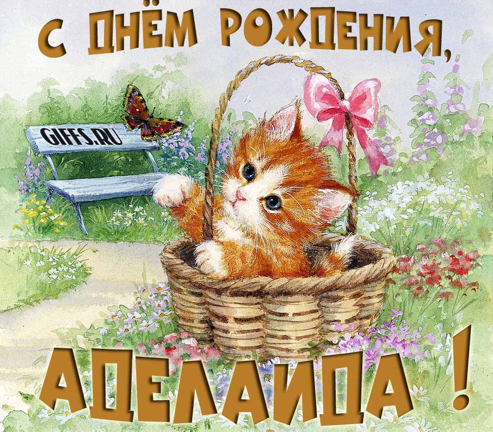 Милая летняя открытка с рыжим котёнком и поздравлением в день рождения для Аделаиды. Милая летняя открытка с рыжим котёнком и поздравлением в день рождения для Аделаиды.