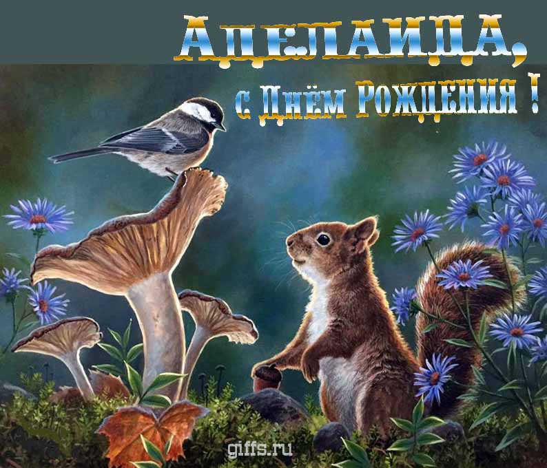 Прикольная и смешная открытка с белочкой среди грибов для поздравления Аделаиды с ДР. Прикольная и смешная открытка с белочкой среди грибов для поздравления Аделаиды с ДР.