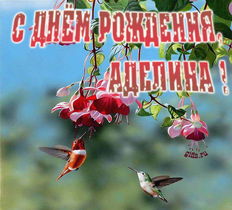 Яркая летняя открытка с птичками в цветах ко дню рождения Аделины.