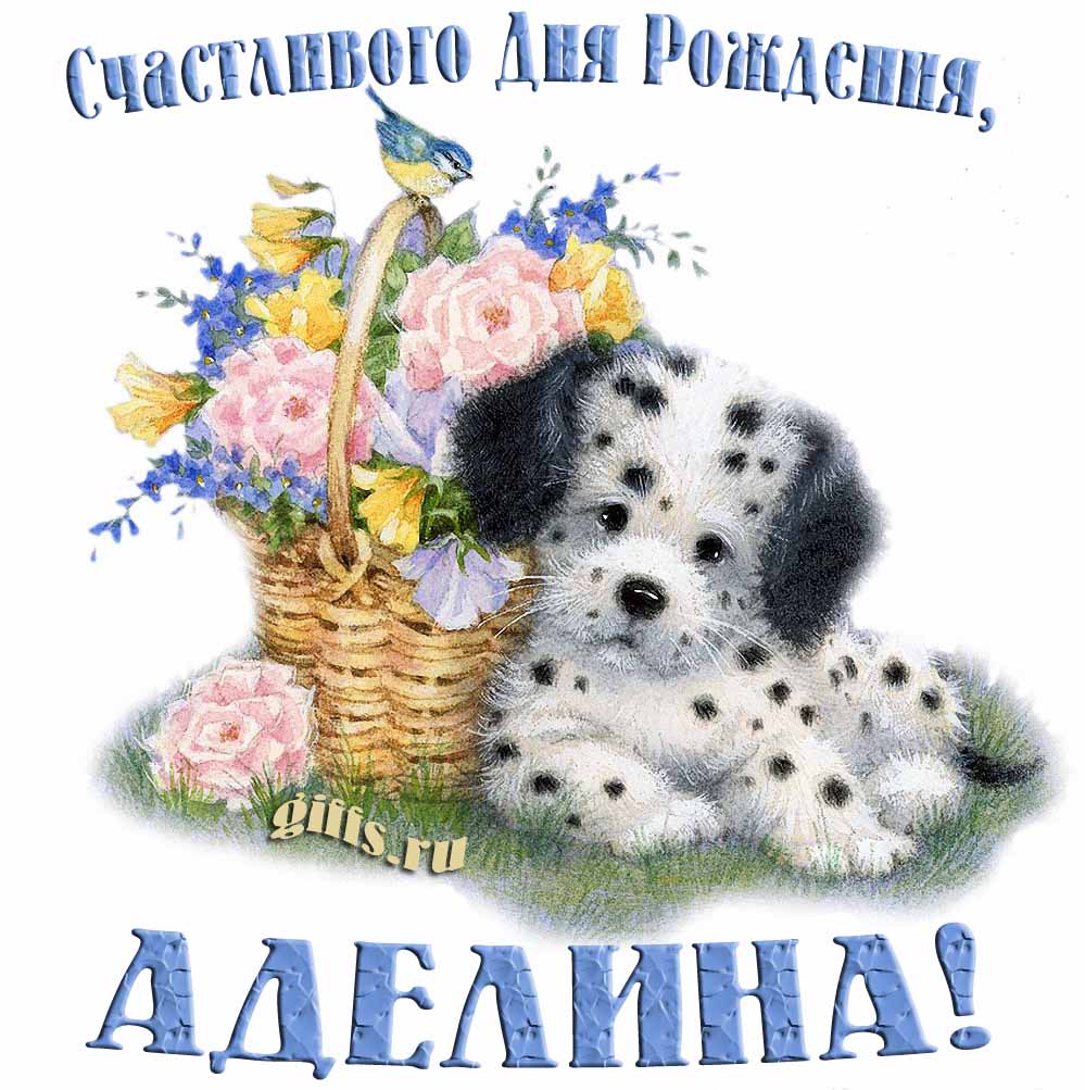 Прикольная и смешная открытка с корзиной цветов и собачкой для пожелания счастливого дня рождения Аделине.