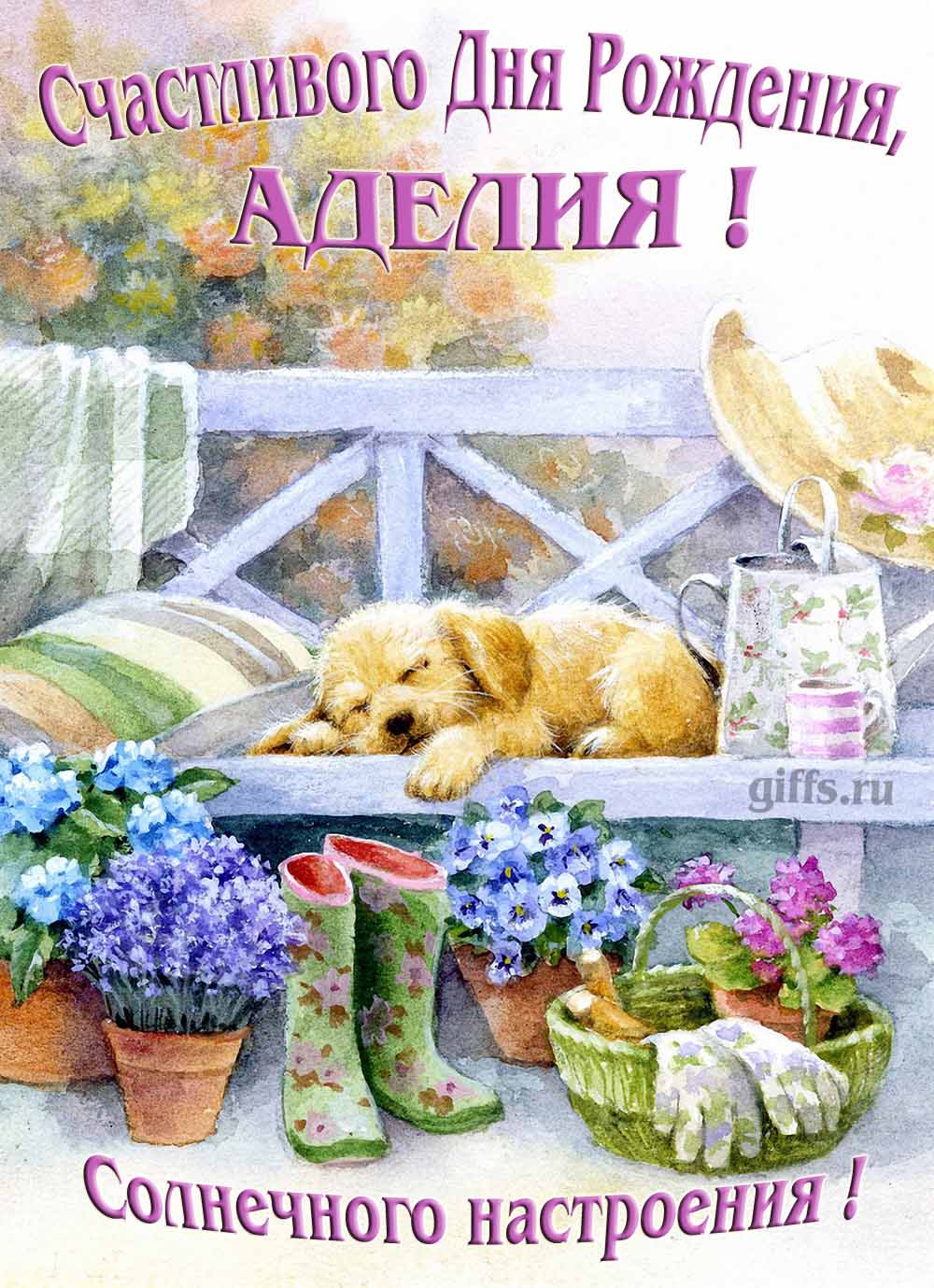 Прикольная картинка с собачкой и пожеланием Аделии счастливого дня рождения и солнечного настроения.