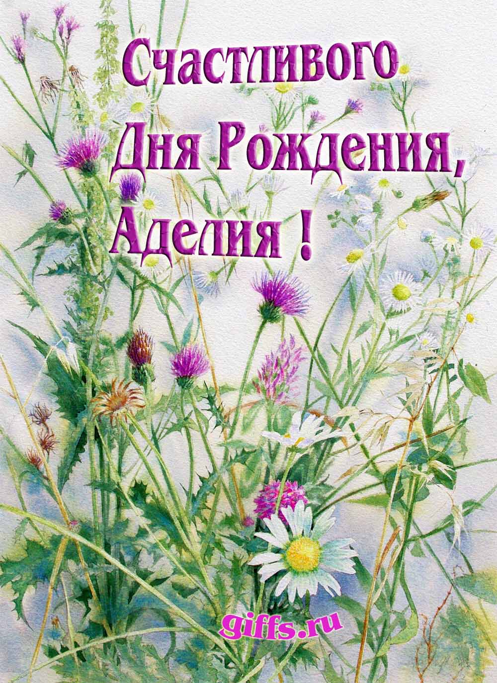 Картинка с луговыми цветами и пожеланием счастливого дня рождения девушке Аделии.