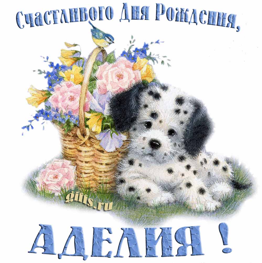 Прикольная и смешная открытка с корзиной цветов и собачкой для пожелания счастливого дня рождения Аделии.
