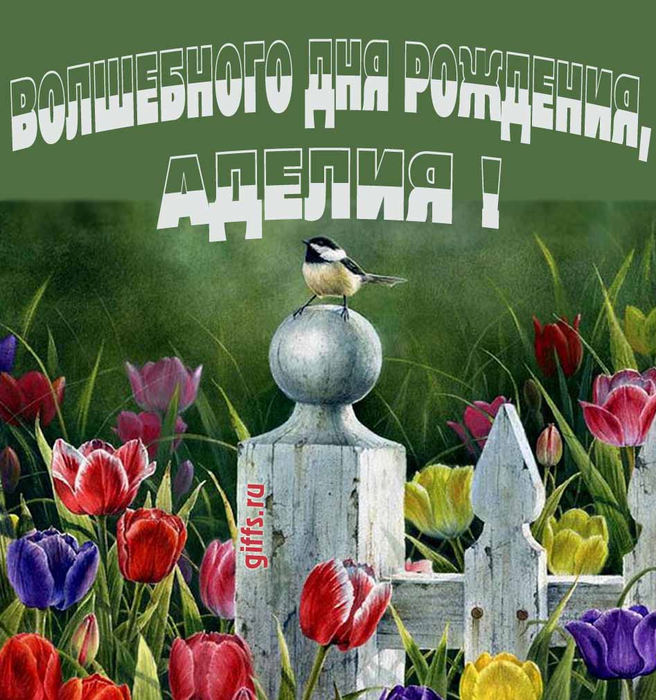 Нежная картинка с разноцветными тюльпанами и надписью "Волшебного дня рождения, Аделия!".