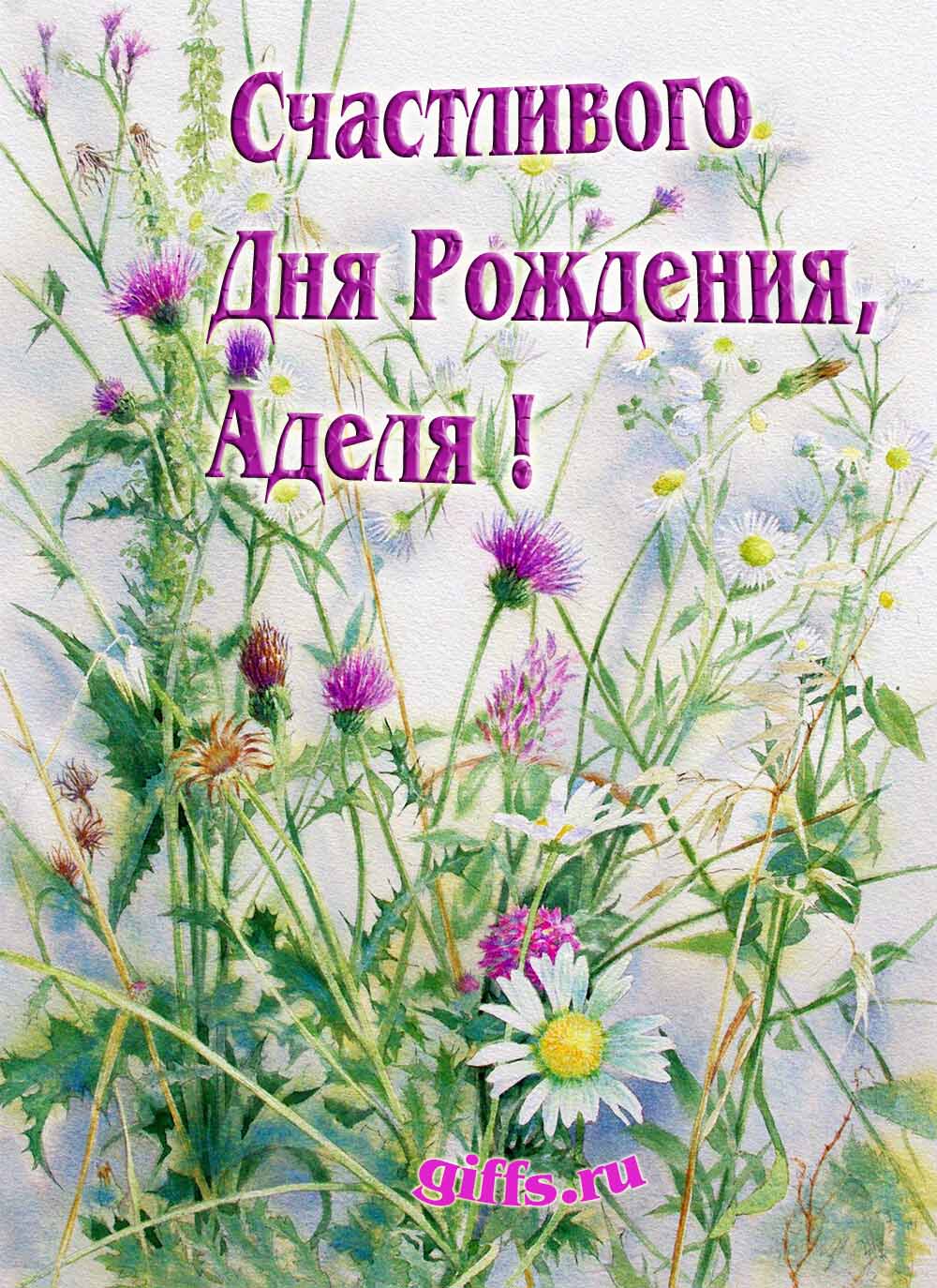 Картинка с луговыми цветами и пожеланием счастливого дня рождения девушке Аделии.