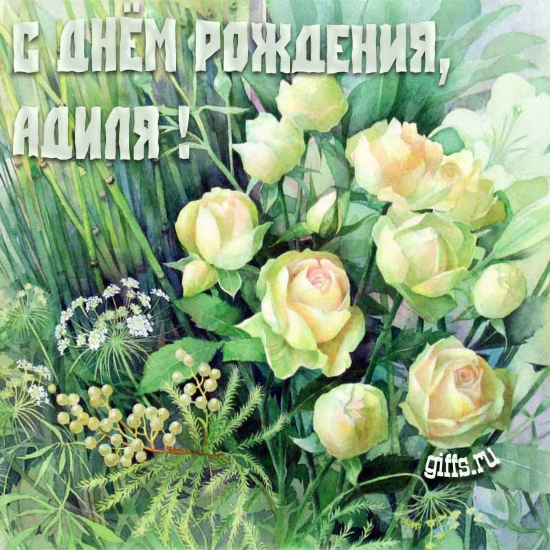 Летняя креативная открытка с белыми розами в траве на день рождения Адиле.