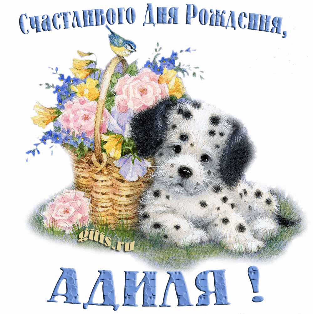 Прикольная и смешная открытка с корзиной цветов и собачкой для пожелания счастливого дня рождения Адиле.