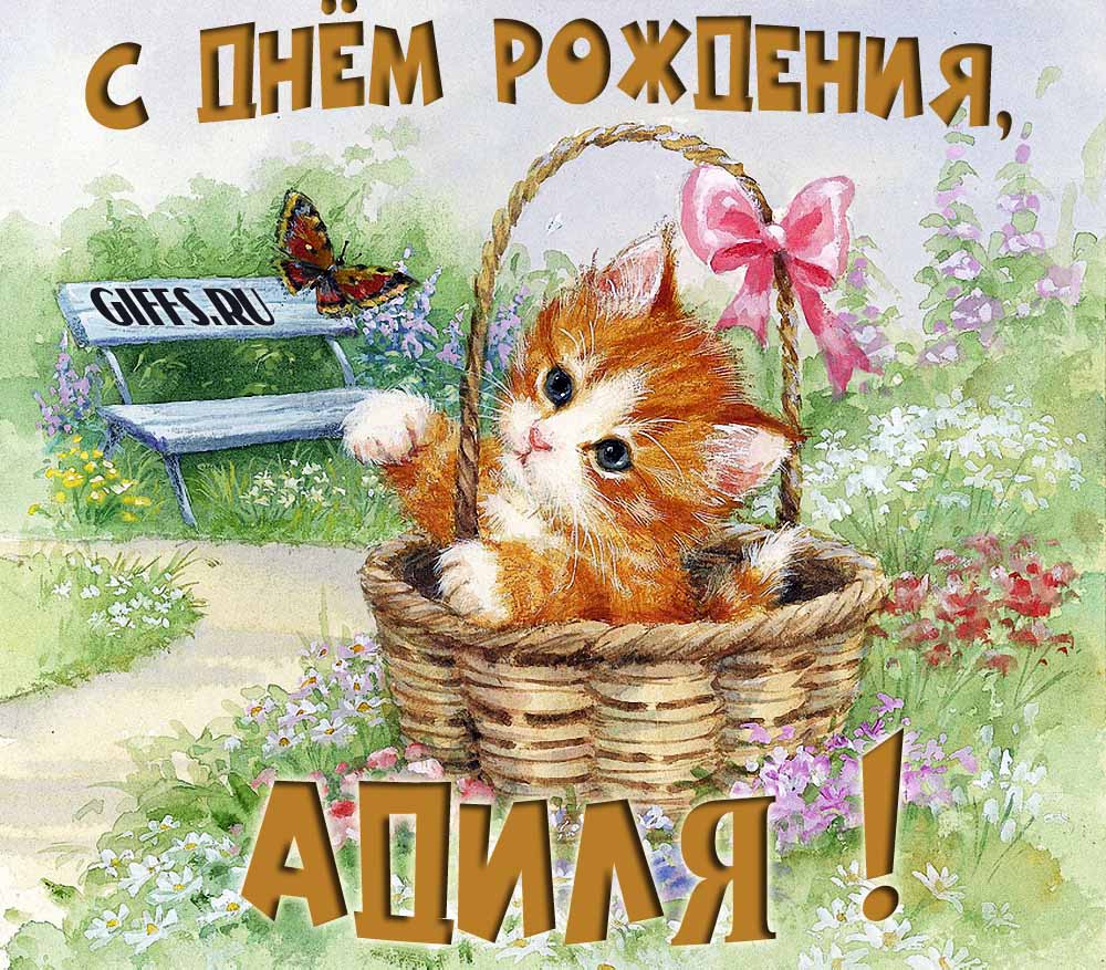 Милая летняя открытка с рыжим котёнком и поздравлением в день рождения для Адили.