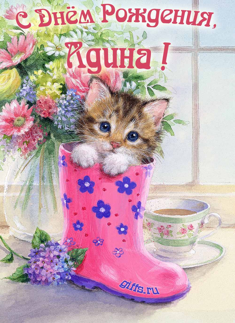 Милая открытка с букетом цветов и котёнком для поздравления девушки с именем Адина в день её рождения.