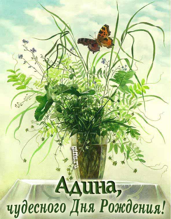 Необычная открытка с бабочкой на цветах и с текстом "Адина, чудесного дня рождения!".
