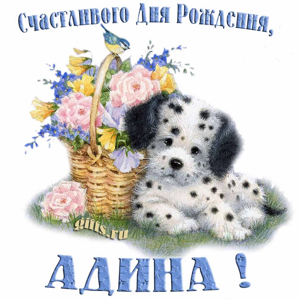 Прикольная и смешная открытка с корзиной цветов и собачкой для пожелания счастливого дня рождения Адине.