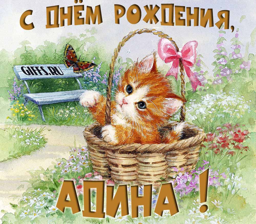 Милая летняя открытка с рыжим котёнком и поздравлением в день рождения для Адины.