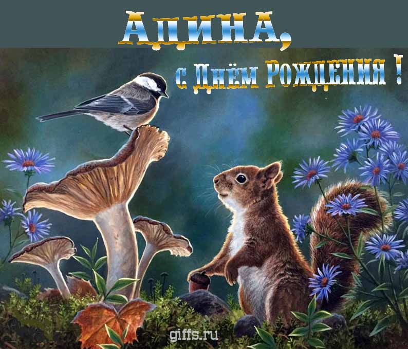 Прикольная и смешная открытка с белочкой среди грибов для поздравления Адины с ДР.