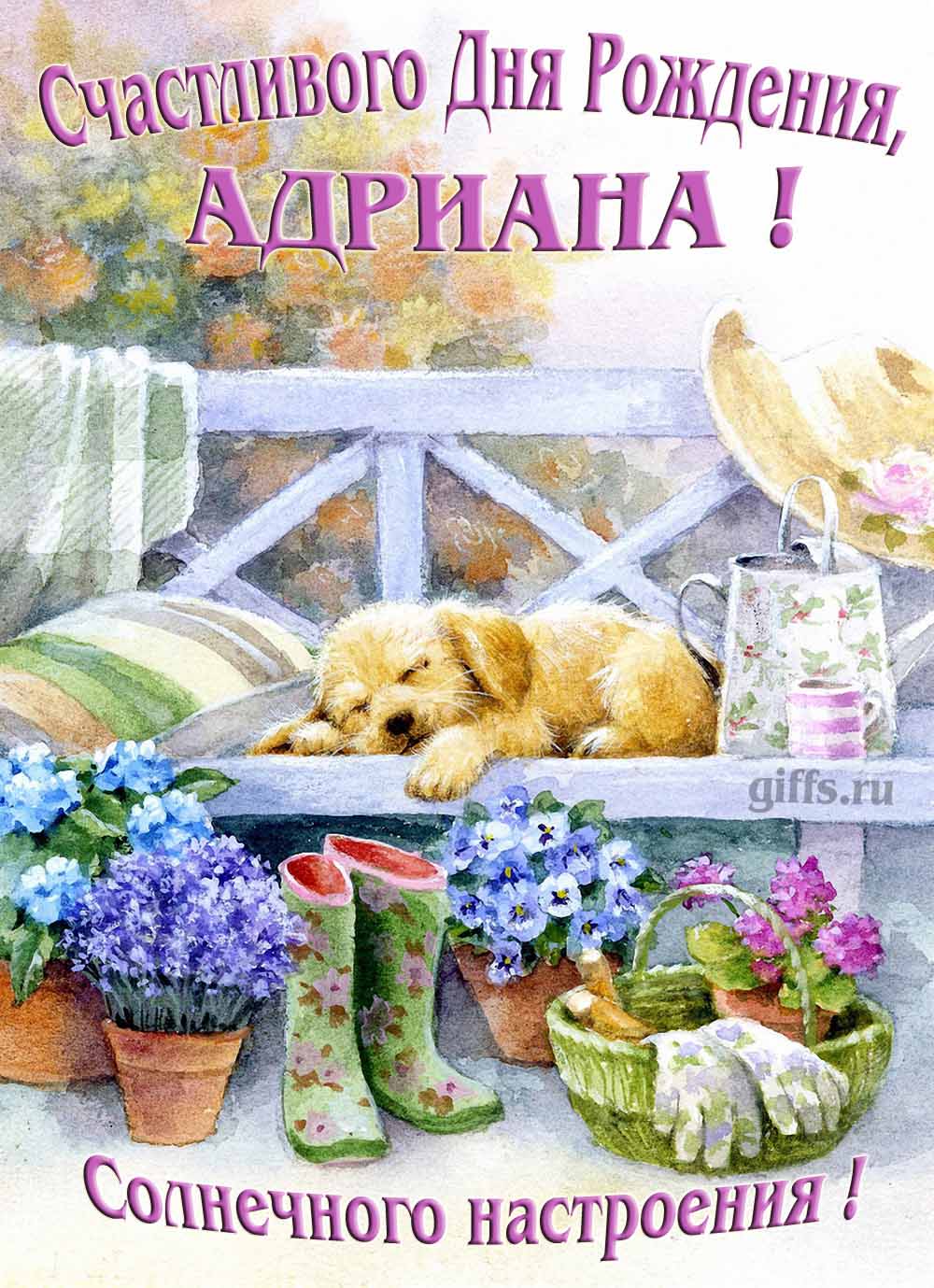 Прикольная картинка с собачкой и пожеланием Адриане счастливого дня рождения и солнечного настроения.