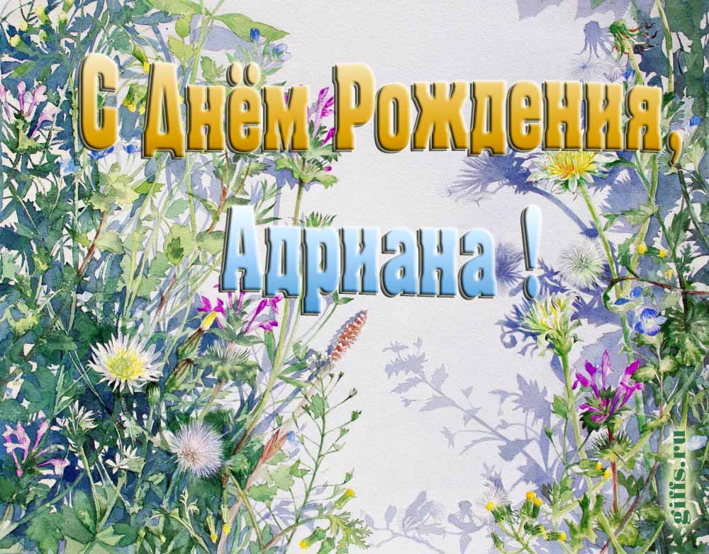 На сайте giffs.xatab.top самые красивые открытки с цветами ко дню рождения Адрианы можно скачать бесплатно.