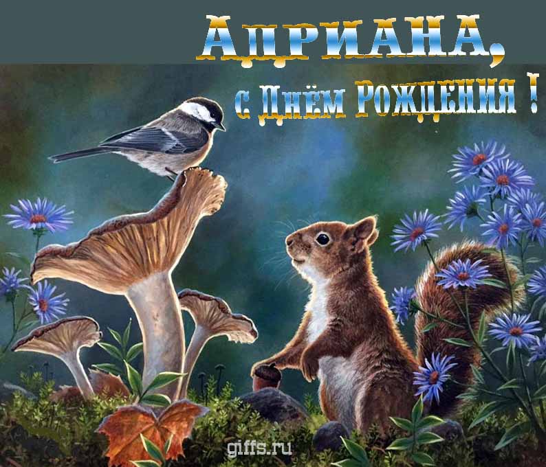 Прикольная и смешная открытка с белочкой среди грибов для поздравления Адрианы с ДР.