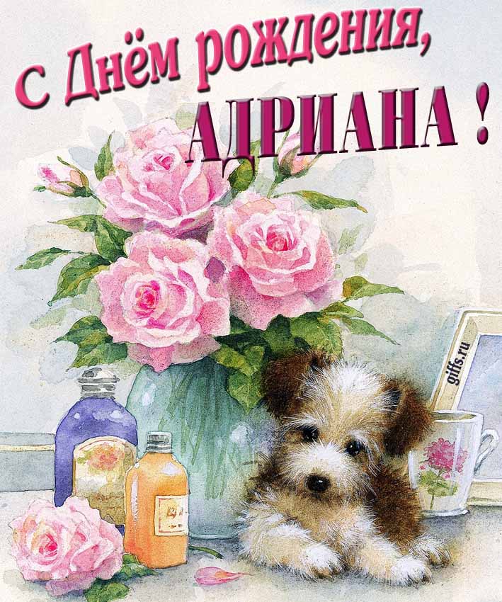 Новая нежная открытка с днём рождения Адриана с розами с собачкой.