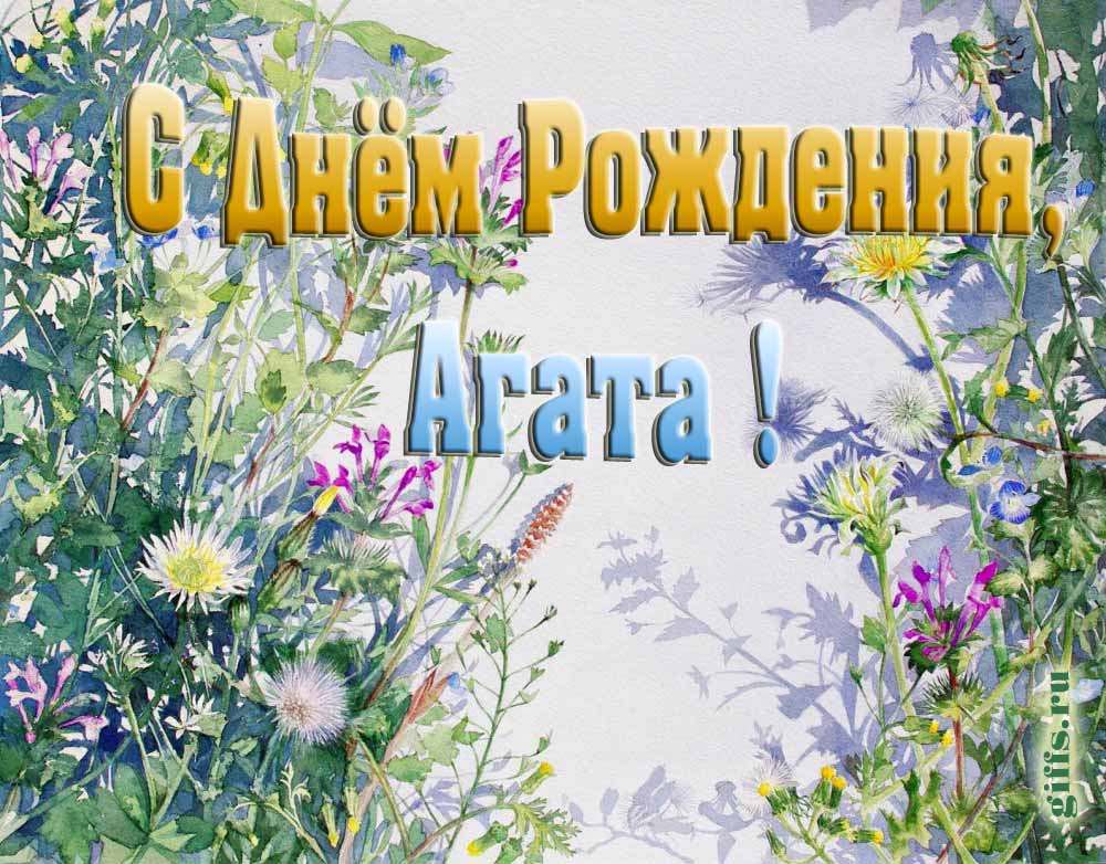 На сайте giffs.xatab.top самые красивые открытки с цветами ко дню рождения Агаты можно скачать бесплатно.