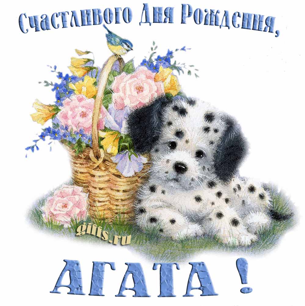 Прикольная и смешная открытка с корзиной цветов и собачкой для пожелания счастливого дня рождения Агате.