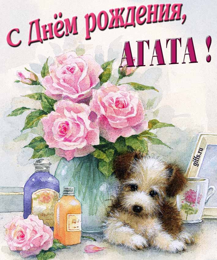 Новая нежная открытка с днём рождения Айна с розами с собачкой.