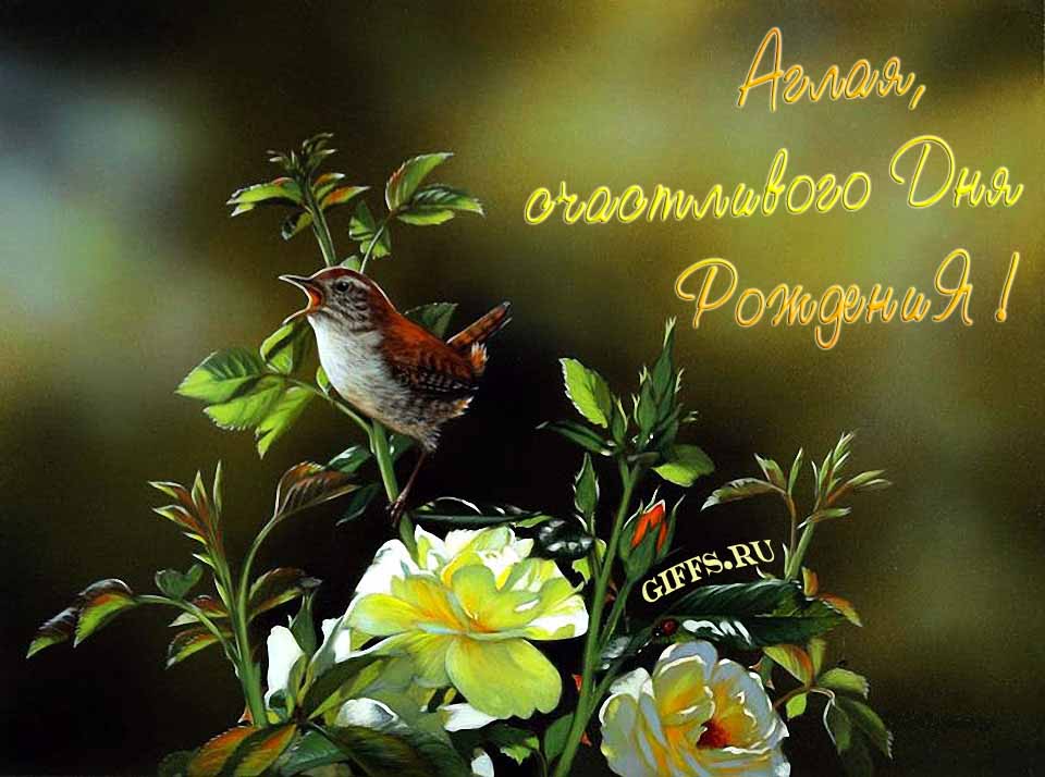 Прикольная картинка с кричащей птичкой : "Аглая, счастливого дня рождения!".